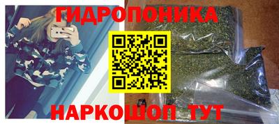сатива Краснодар