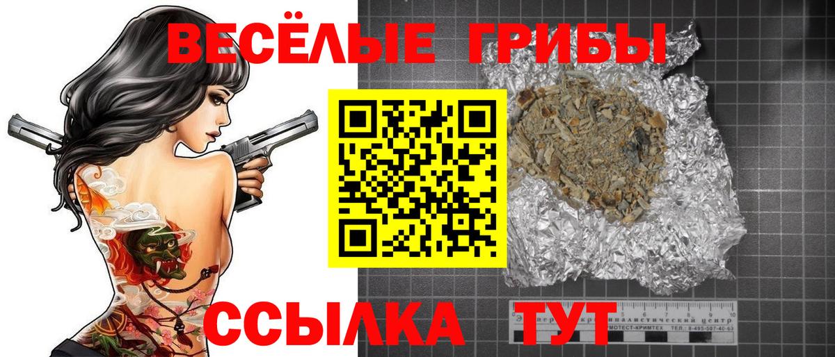 Псилоцибиновые грибы GOLDEN TEACHER Кашира
