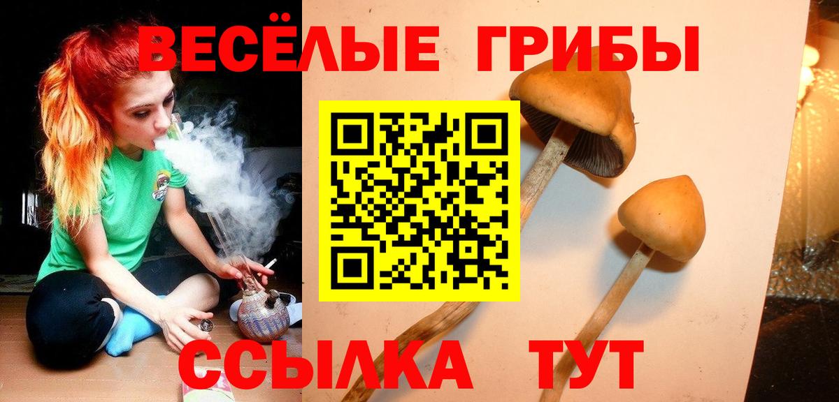 Кашира  Галлюциногенные грибы мухоморы  Вход с VPN 